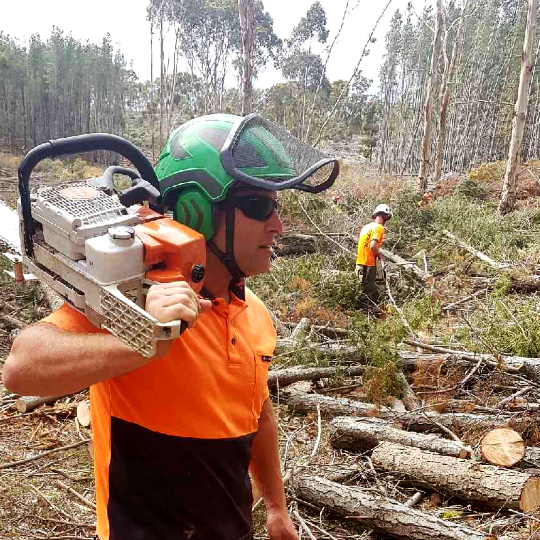 Land Clearing